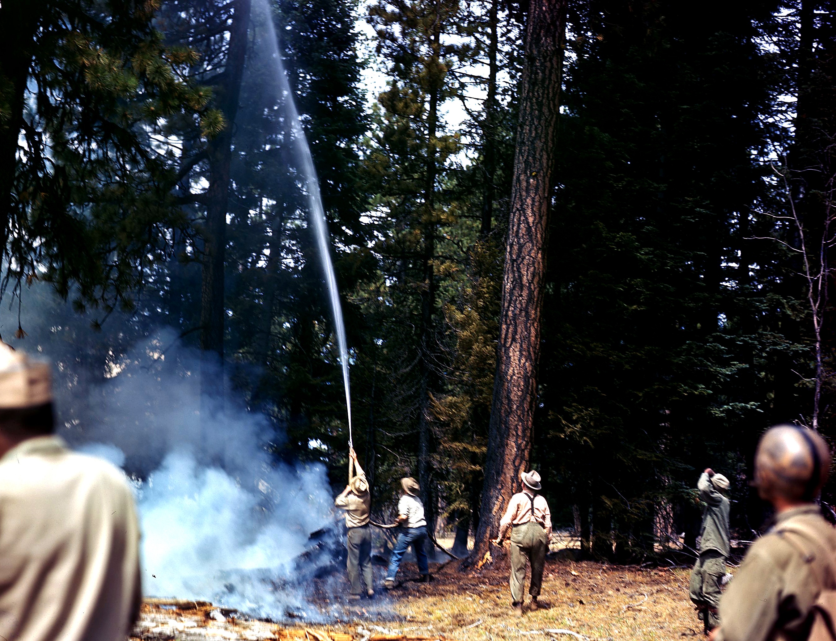 555th paratroopers