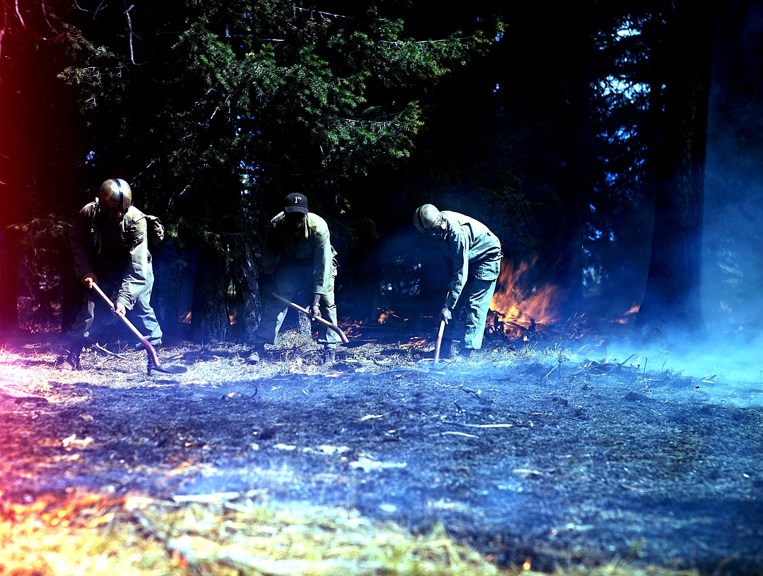 555th smokejumpers fighting forest fire