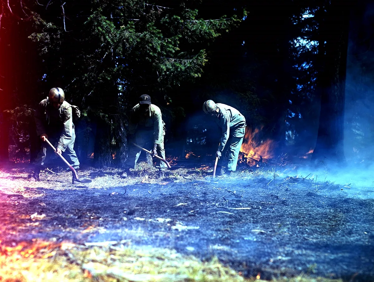555th smokejumpers fighting forest fire